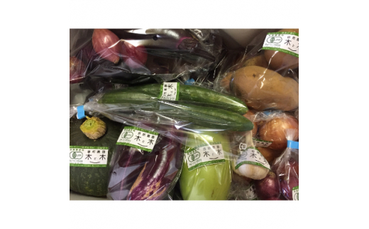 こだわりの”炭素循環農法”で育てた「旬の有機野菜詰合せ」【1246834】