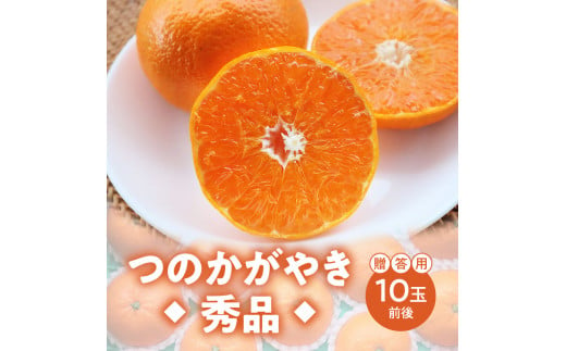 【期間・数量限定！】奄美つのかがやき＜秀品＞化粧箱（8～15玉入）4L～Lサイズ【贈答用】　A070-005