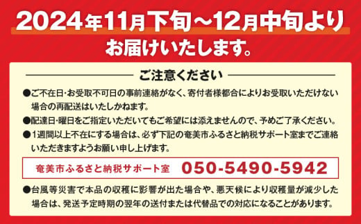 【期間・数量限定！】奄美つのかがやき＜秀品＞化粧箱（8～15玉入）4L～Lサイズ【贈答用】　A070-005