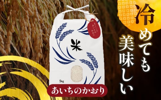 【11月発送】愛知県産あいちのかおり 白米5kg 特別栽培米 ご飯 精米／戸典オペレーター [AECT024-11]