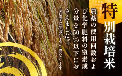 【11月発送】愛知県産あいちのかおり 白米5kg 特別栽培米 ご飯 精米／戸典オペレーター [AECT024-11]