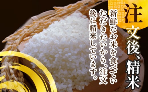 【11月発送】愛知県産あいちのかおり 白米5kg 特別栽培米 ご飯 精米／戸典オペレーター [AECT024-11]