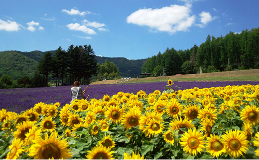 ペア宿泊券（コテージ）夏季　※6～10月 北海道 北海道 南富良野町 かなやま湖 宿泊券 宿泊 泊まる ツインルーム 旅行 贈り物 ギフト