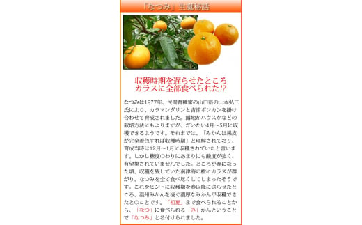 初夏のみかん　なつみ3kg　※2025年4月中旬〜2025年4月下旬頃に順次発送（お届け日指定不可）【uot753】