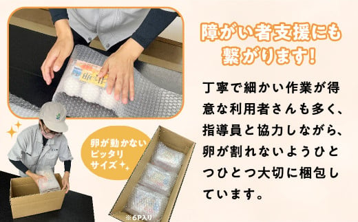 【発送予定日がわかる!】 卵 たまご 36個 卵焼き 卵スープ 卵かけご飯 鶏 小分け お試し 配送 エッグショック フードロス 対策 支援 就労支援 障がい者支援 北の卵 タマゴ エッグ 生たまご 生卵 生玉子 玉子 定期便 もございます