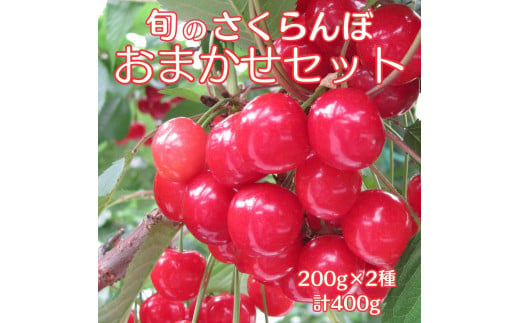 南信州高森産 旬のさくらんぼおまかせ2種セット 400g