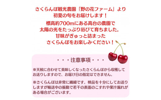 南信州高森産 旬のさくらんぼおまかせ2種セット 400g