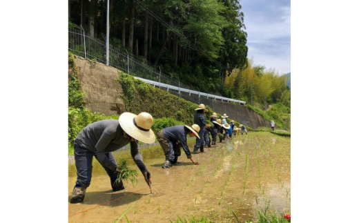 ＜のし付きギフト＞ときがゆったり流れてる”十津川　谷瀬”の地酒＜生酒・火入れ＞720ml　各1本【1412562】