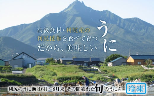 採れたてをそのまま！エゾバフンウニのルイベ 100ｇ×10パック＜利尻漁業協同組合＞