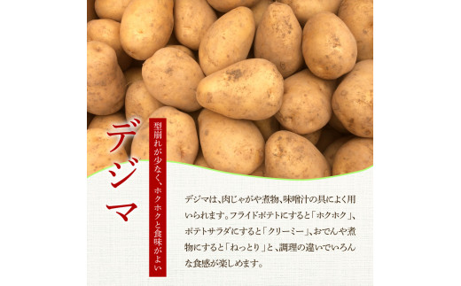 ★先行受付：2024年5月発送開始★大野台地で採れた 令和6年産新じゃがいも『デジマ』10kg 10キロ イモ ジャガイモ 芋 いも ポテト 野菜 おいしい ふっくら 旬 国産 お取り寄せ 送料無料