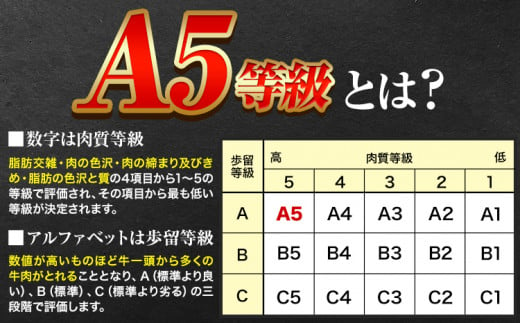 243.A5等級 黒毛和牛 ヒレステーキ 約400g【配送不可地域あり】《30日以内に出荷予定(土日祝除く)》 岡山県 矢掛町 牛肉 ステーキ ギフト 肉厚 A5