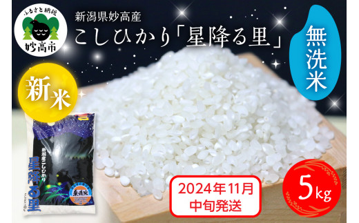 【2024年11月中旬発送】令和6年産 新潟県妙高産こしひかり「星降る里」5kg 無洗米