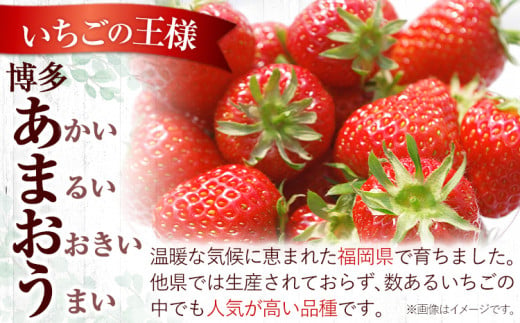 いちご あまおう 先行予約 いちご 大量 540g 選べる発送時期 定期便 フルーツ《2025年1月発送》苺 旬 くだもの 果物 福岡県 鞍手町