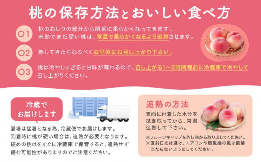 【産直・人気の特産品】和歌山の桃　約4kg・秀選品★2025年6月下旬～8月上旬頃順次発送★【TM168】