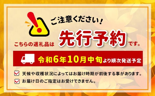 りんご シナノゴールド 約3kg | フルーツ 果実 果物 りんご 林檎 リンゴ シナノゴールド りんご三兄弟 信州りんご 長野県 千曲市 信州 低農薬