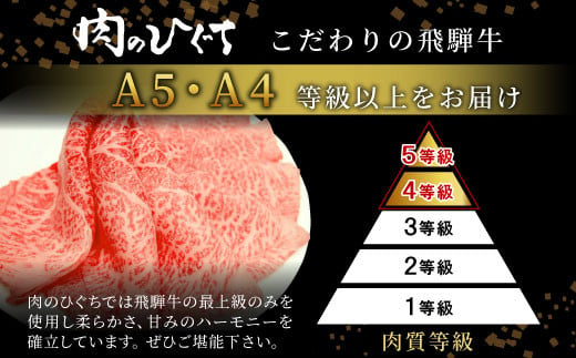 【1月発送開始】飛騨牛 定期便 全3回 計1.1kg 2人前 すき焼き しゃぶしゃぶ ステーキ 焼肉 BBQ ロース カタロース ロースステーキ モモ カタ 贅沢 贈り物 3ヶ月 定期 おすすめ 選べる 人気 飛騨 ブランド牛 肉のひぐち