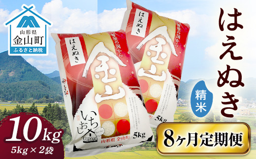 令和6年産 金山産米 はえぬき 【精米】（5kg×2袋）×8ヶ月  計80kg 定期便 米 お米 白米 ご飯 ブランド米 送料無料 東北 山形 金山町 F4B-0538