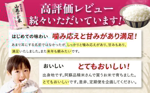 〈令和7年度新米〉 【3回定期便】山鹿のお米 ヒノヒカリ 5kg【有限会社 あそしな米穀】お米定期 お米定期便 熊本 精米 ひのひかり定期 新米 令和7年産 [ZBI020]