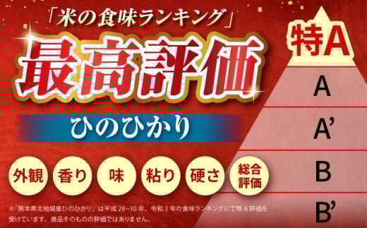 〈令和7年度新米〉 【3回定期便】山鹿のお米 ヒノヒカリ 5kg【有限会社 あそしな米穀】お米定期 お米定期便 熊本 精米 ひのひかり定期 新米 令和7年産 [ZBI020]