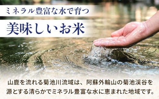 〈令和7年度新米〉 【3回定期便】山鹿のお米 ヒノヒカリ 5kg【有限会社 あそしな米穀】お米定期 お米定期便 熊本 精米 ひのひかり定期 新米 令和7年産 [ZBI020]