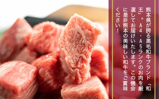 熊本県産 黒毛和牛 和王 ひとくちステーキ 500g×2 計1kg 牛肉