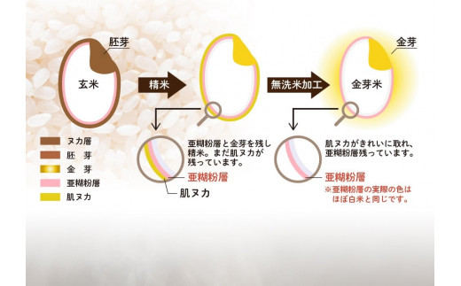 140070001 【令和5年産】ホクレンパールライス「ホクレン金芽米ななつぼし(無洗米)」10kg