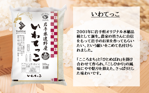 【 定期便 6回 】【 五つ星 お米マイスターProf. 厳選 】遠野産 新米 いわてっこ 5kg 【 コメマルシェ 河判 】 米 お米 おこめ 白米 精米 ふっくら ツヤツヤ SDGs 岩手県 遠野市 国産 送料無料 6ヶ月