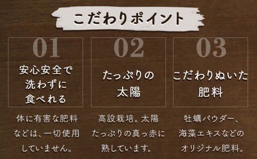 【朝摘みをお届け！】【 予約受付中・2024年12月頃より順次発送 】 フルーツガーデンやまがたのいちご「うずしおベリー」大粒18個 【数量限定】 苺 いちご イチゴ 徳島 鳴門 果物 フルーツ ギフト 甘い 旬 紅ほっぺ