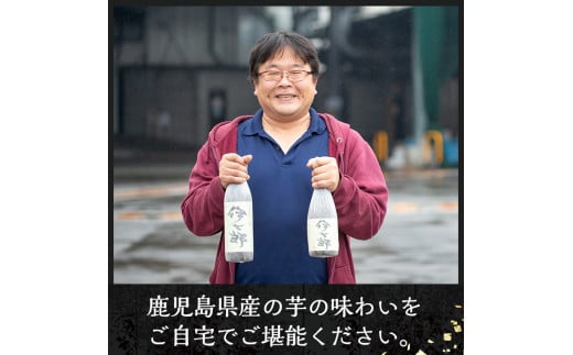 鹿児島本格芋焼酎 黒瀬安光作「伊七郎」(720ml×2本) 阿久根市 国産 4合瓶 名工 プレミアム焼酎 セット 限定 酒 いも さつま芋 さつまいも サツマイモ アルコール ギフト 贈答 常温保存【海連】a-24-2-z