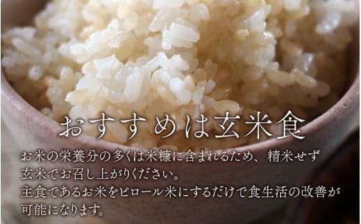 【令和6年産 新米】【孫のために作りました】ピロール米 コシヒカリ 玄米 10kg 化学肥料50％減 農薬50％減【玄米食におすすめ】