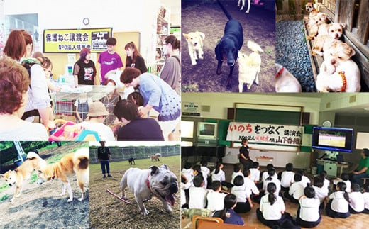 【返礼品なし】【犬猫等愛護活動 犬と猫と人にとって住みよい社会づくりを応援】宮崎県 高原町 特定非営利活動法人 咲桃虎(さくもんと)　TF3032 TF3032-P00056