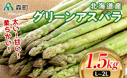 【先行予約】北海道森町産 グリーンアスパラL～2Lサイズ1.5kg（2024年4月下旬頃～7月上旬頃順次発送） ＜道産ネットミツハシ＞ 北海道産 アスパラガス 野菜 旬 産地直送 ふるさと納税 北海道 mr1-0139