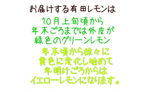 紀州 和歌山 有田 レモン 約3kg【和歌山県産】【農家直送】【先行予約・2024年10月上旬～2025年1月下旬発送】