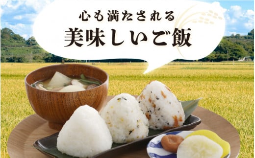 米 令和5年産 長谷川農園の コシヒカリ（白米） 7kg × 1袋 [m22-a001]