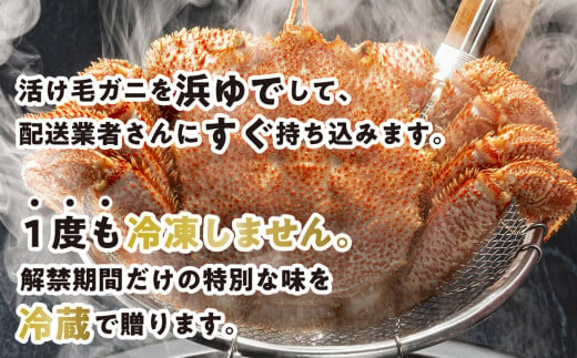 ＜2025年1月から順次発送＞ 訳あり 北海道産 かに 浜ゆで 毛がに ( 約 2kg ) ＜ 予約商品 ＞ 毛蟹 毛ガニ 北海道 冷蔵 毛蟹 毛ガニ けがに かに 蟹 カニ かに味噌 カニ味噌 新鮮 旬 ボイル 浜茹で 海鮮 海産物 新鮮 旬 魚介 蟹味噌 みそ 新ひだか町 わけあり 訳アリ