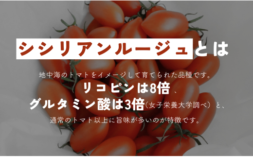 【ギフトBOX】げんき農場の朝採れシシリアンルージュ840g＋朝採れカラフルミニトマト840g　計1.68kg