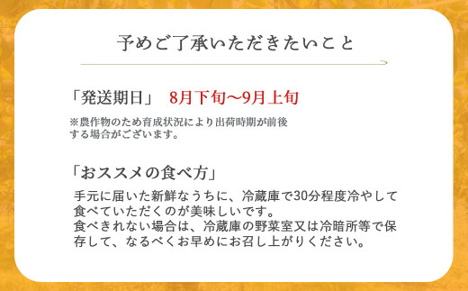 【先行予約】【数量限定】「ス梨・果ラット ダイヤ」 二十世紀梨 新甘泉 セット（5kg）【倉吉産】令和6年産 梨 鳥取 梨 5kg 果物 フルーツ 和梨 先行予約 数量限定 詰め合わせ 二十世紀梨 新甘泉 20世紀梨 セット 食べ比べ