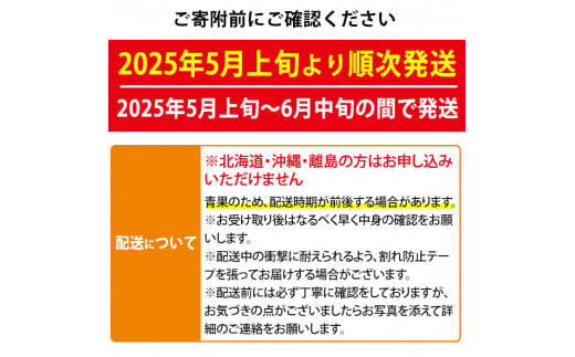 【0165001a】朝採り発送！小玉すいか・マダーボール(2玉・計4kg以上) 果物 果実 フルーツ スイカ 数量限定 期間限定【宮内農園】