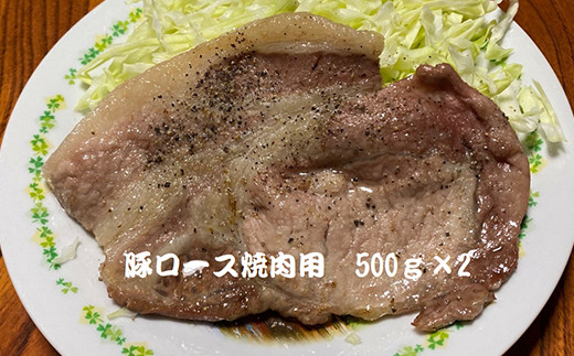 ブランド豚「下仁田ポーク」豪華堪能セット 安心 安全 ブランド ジューシー 飼養管理 脂身が甘い 臭みが少ない ヘルシー もろみ味噌漬け 豚ロース 白モツ 食べ比べ 大満足 詰め合わせF21K-230