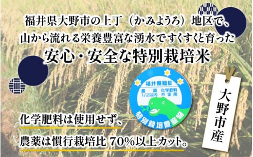 【令和6年産 新米】ベストファーマー ほたるの里 特別栽培こしひかり 4kg（2kg × 2袋） ＋ かぐらもち米 1.4kg 化学肥料不使用 農薬70％以上カット