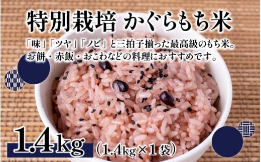 【令和6年産 新米】ベストファーマー ほたるの里 特別栽培こしひかり 4kg（2kg × 2袋） ＋ かぐらもち米 1.4kg 化学肥料不使用 農薬70％以上カット