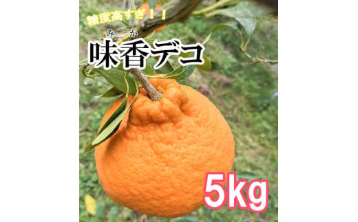 DG019_味香デコ 5ｋｇ 糖度高すぎッ！14度以上 不知火 みかん フレッシュ 限定　くだもの フルーツ