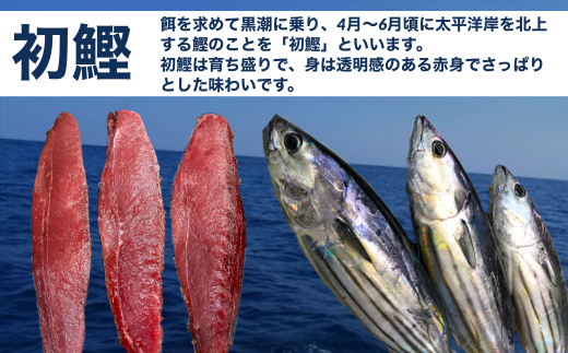 【四国一小さなまち】  ★数量限定★ 令和６年３月中旬発送開始 ≪ヤマシン≫ 初鰹のわら焼きタタキ ２節　※新にんにく１玉付き※