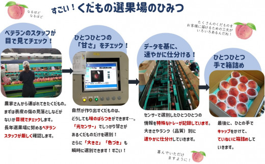 センサー選別で厳選した桃です。