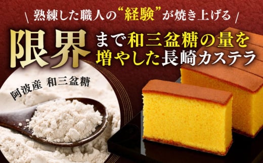 【全3回定期便】 長崎カステラ 琴海の心 0.5号(5切)×3本 長崎県/琴海堂 [42AACD018]