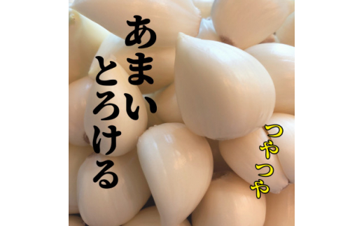 ＜月1,000箱売れてる＞テレビ朝日1泊家族で紹介「にんにくの王様　白玉王」生にんにく(7玉)【1529091】