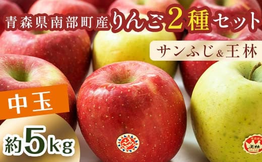 特 （中玉） 青森産 完熟 りんご 約5kg サンふじ 王林 2種セット 【誠果園】 青森りんご リンゴ 林檎 アップル あおもり 青森 青森県 南部町 三戸 南部 澁川賞受賞 果物 くだもの フルーツ F21U-222