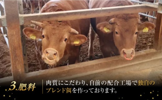 長崎県産和牛 あか牛 ローストビーフ 1kg《対馬市》【株式会社Tsukushi】 対馬 牛 牛肉 赤身 加工品 冷凍 真空パック [WCR003]