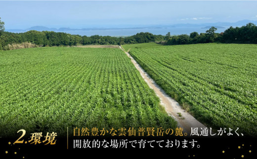 長崎県産和牛 あか牛 ローストビーフ 1kg《対馬市》【株式会社Tsukushi】 対馬 牛 牛肉 赤身 加工品 冷凍 真空パック [WCR003]