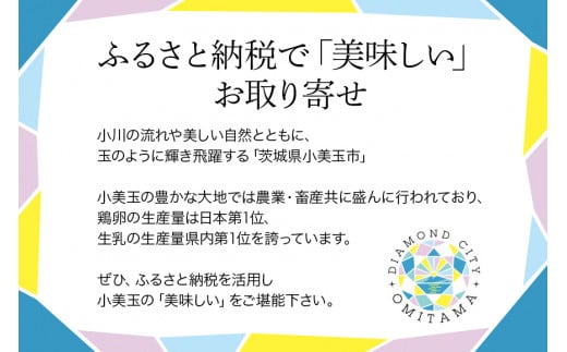 小美玉ブルーベリーワイン1本＆ブルーベリージャム4個セット ブルーベリー ワイン ブルーベリーワイン ジャム ブルーベリージャム フルーツ 果物 ビタミンE アントシアニン 栄養 目にいい 健康 美容 ギフト 贈り物 茨城県産 プレゼント セット お酒 9-B